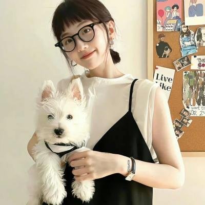 新游记